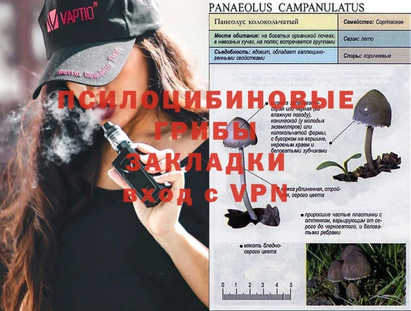 спиды Нефтекумск