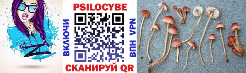 наркотики  Кимовск  Псилоцибиновые грибы ЛСД 