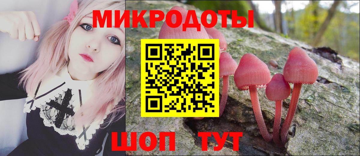 Псилоцибиновые грибы Psilocybine cubensis Кимовск