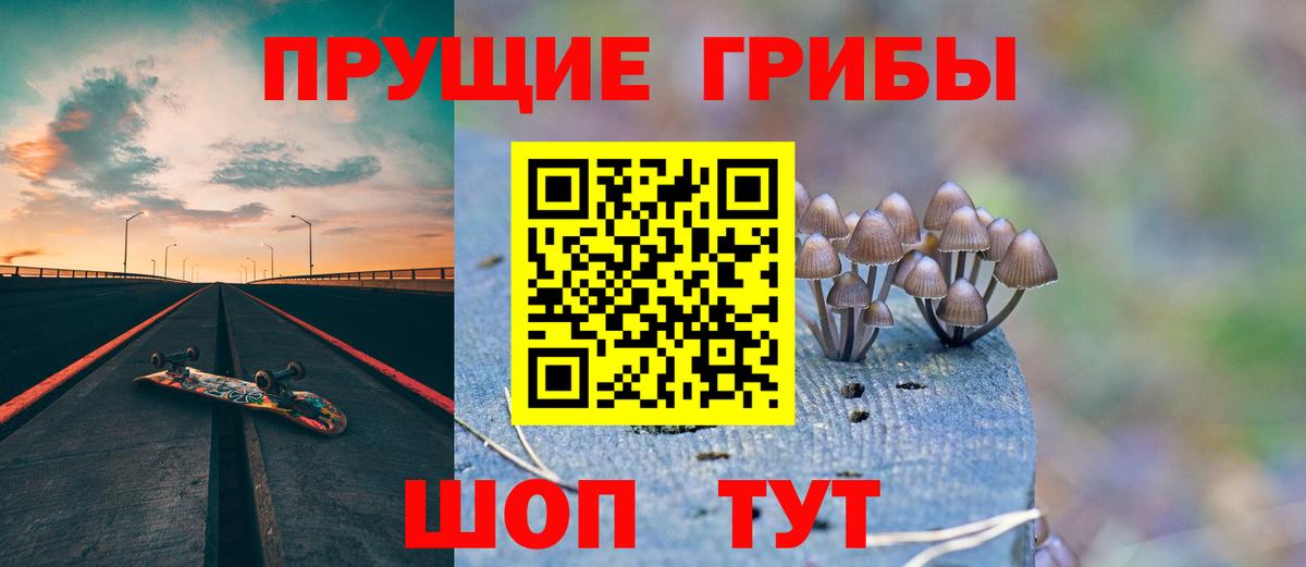 как найти закладки  Псилоцибиновые грибы GOLDEN TEACHER  Кимовск  Вход с VPN  Псилоцибиновые грибы мицелий 